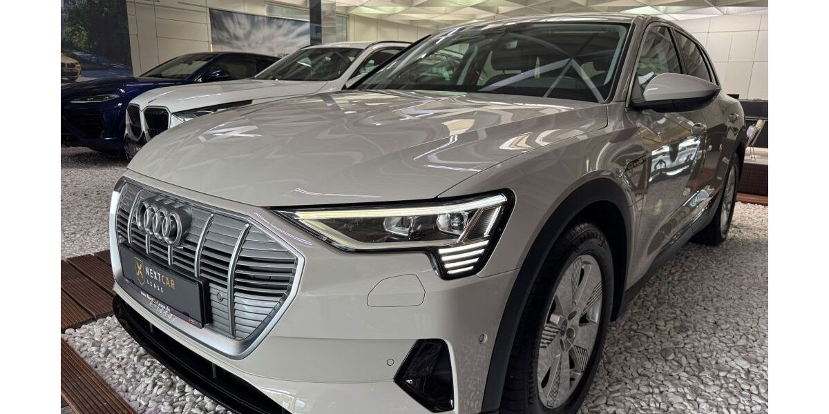Audi e-tron 118.200 km 23.990 &euro; Dieburg 64807